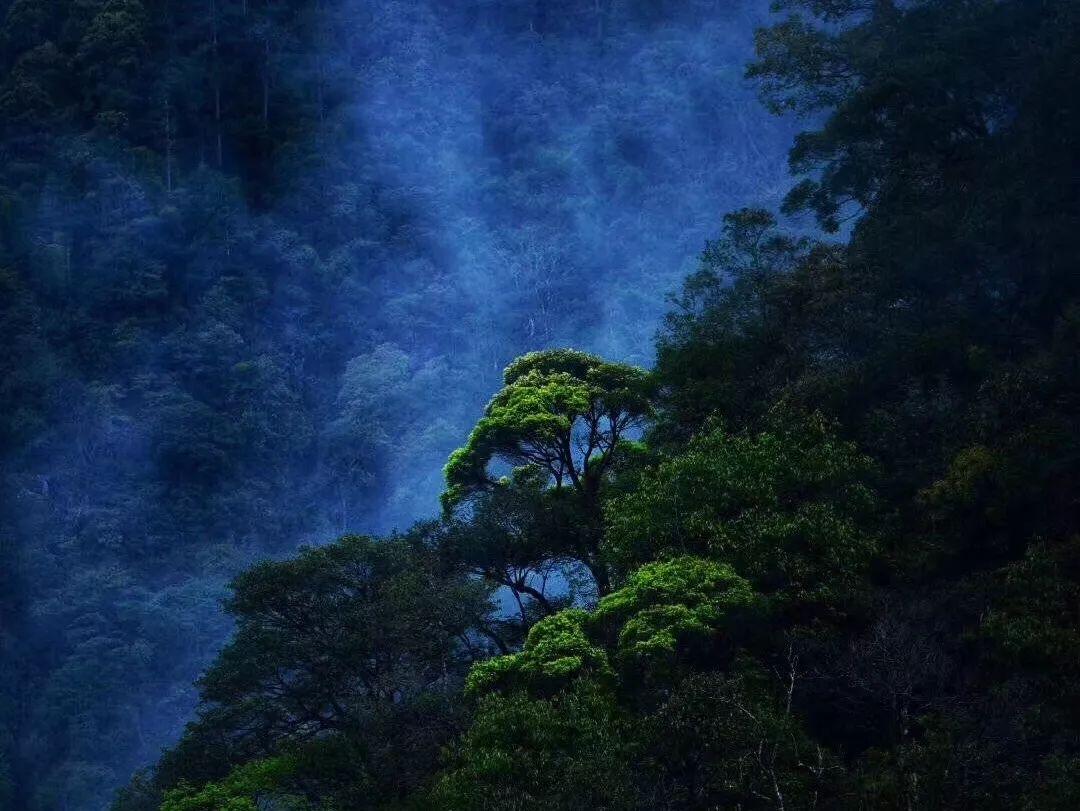 探索世界奥秘,尽在买房后多少年才可以转卖出去?蜗牛问答平台